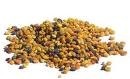 Blütenpollen